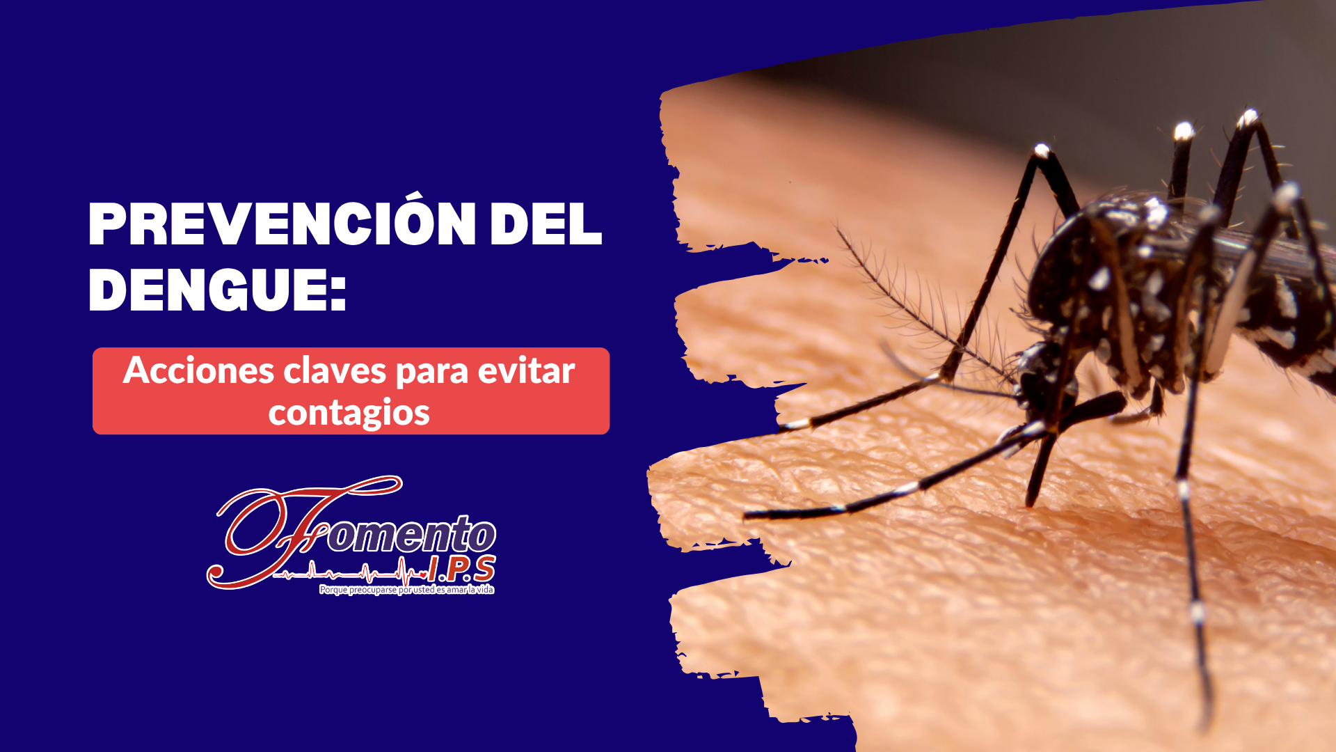 Dengue Dengue